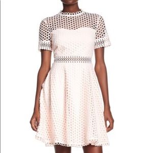 Ted Baker Graycee Pink Lace Dress